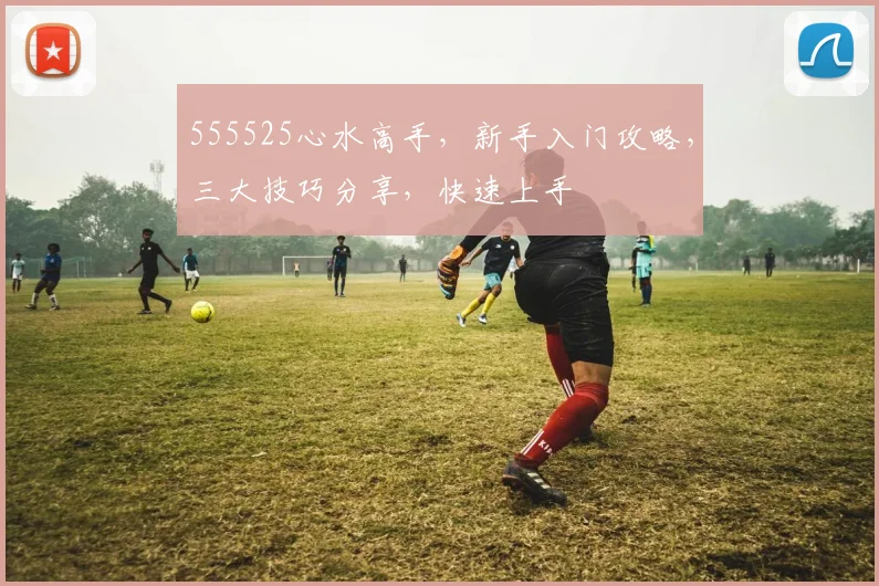 555525心水高手，新手入门攻略，三大技巧分享，快速上手