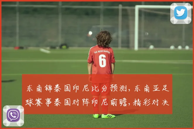 东南锦泰国印尼比分预测,东南亚足球赛事泰国对阵印尼前瞻,精彩对决在即